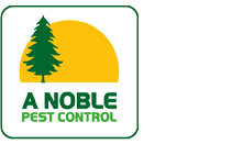 Awesome Logo