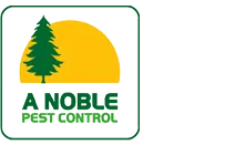 Awesome Logo